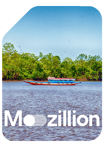 1766144622_Mozillion Travel SIM Cover - Suriname.png